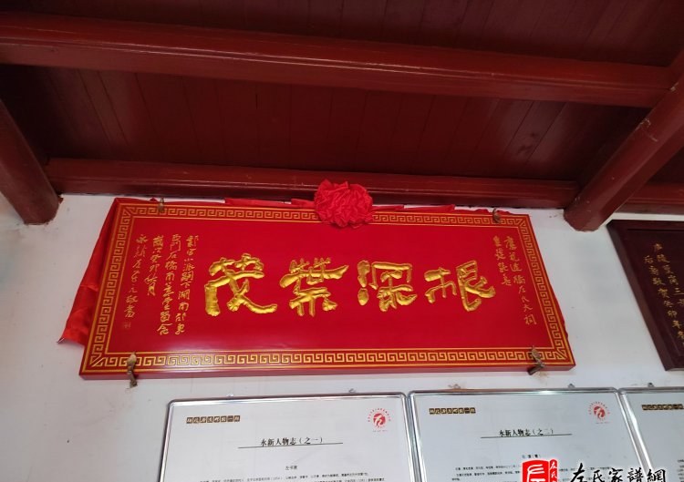 zuo_bf72edeb2e1e57fd7c22b1.jpg