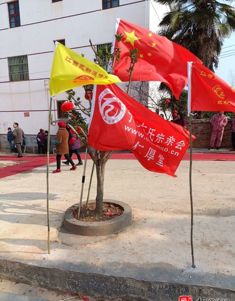 zuo_c76e69cade2fa5605ea1ec.jpg
