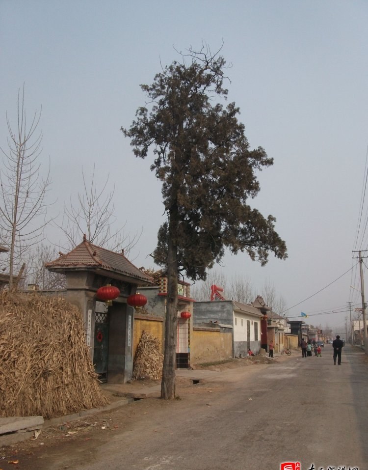 zuo_c8c36eac00ec4c14cdeb40.jpg