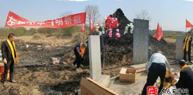 zuo_d44ce878d8b3376b34fb10.jpg