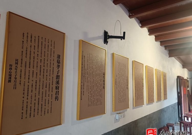 zuo_d6119dcac63e839ee9d6b8.jpg