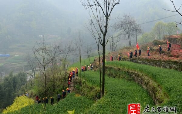 zuo_da7ec8c92169df79cf1607.jpg
