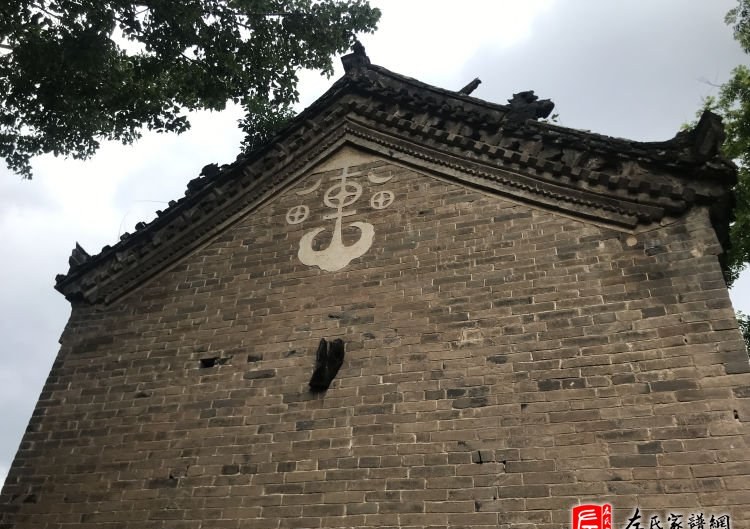 zuo_ee487969ad96a07ad9eb5f.jpg