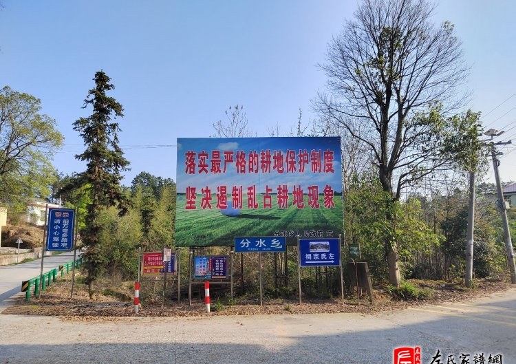 zuo_f75a466922dd397aafbc82.jpg
