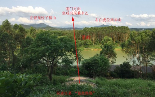 文章图片