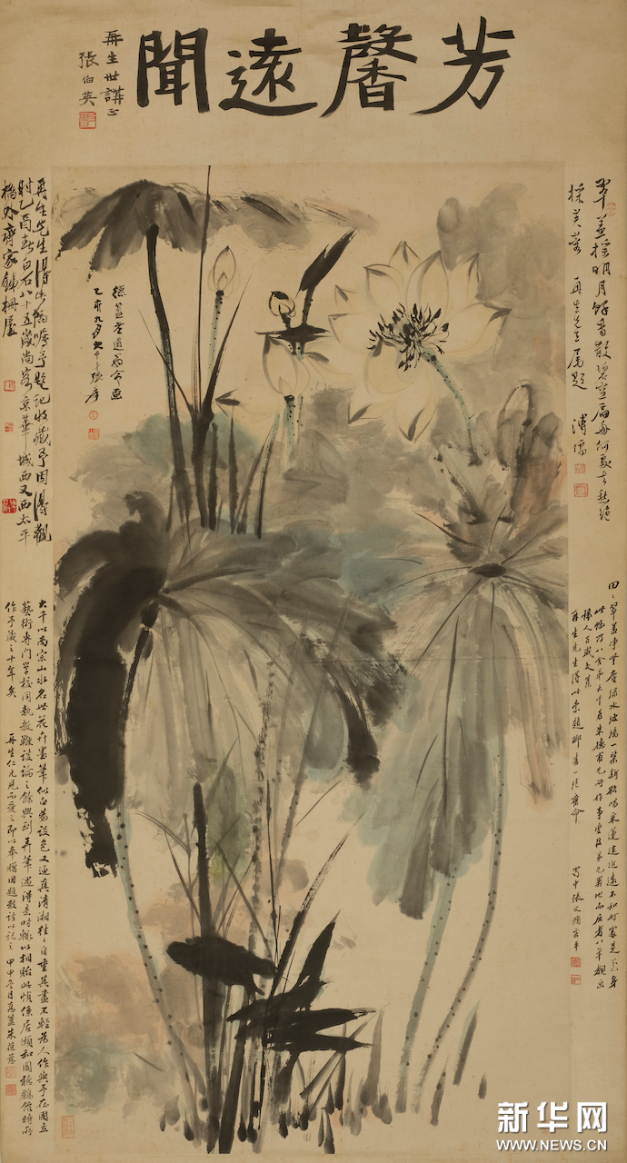 文章图片