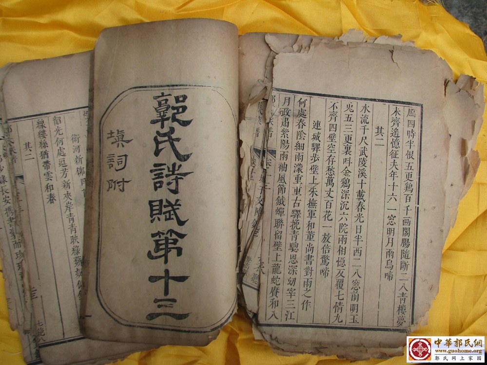 文章图片