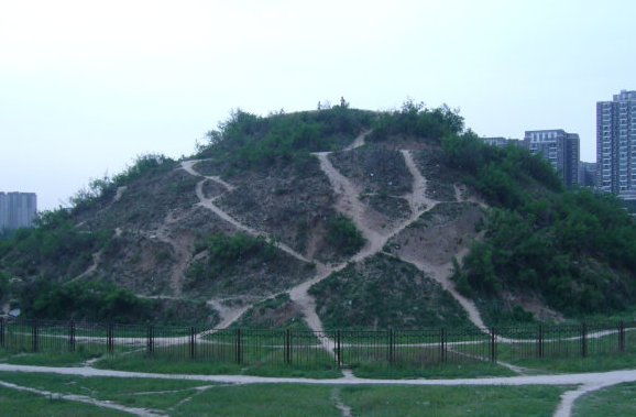 文章图片