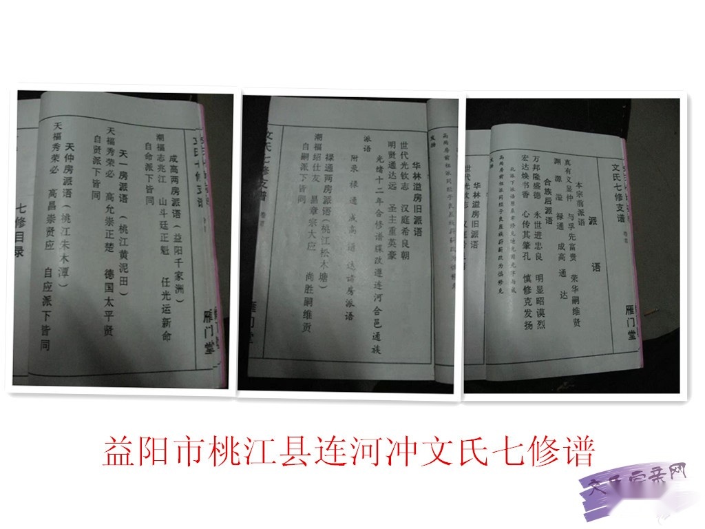 文章图片