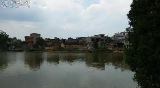 文章图片
