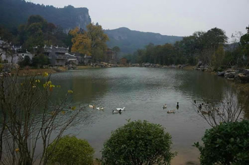 文章图片