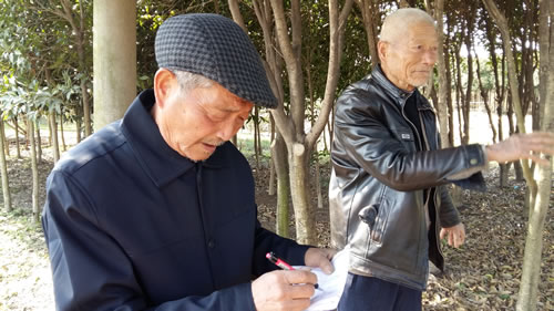 文章图片