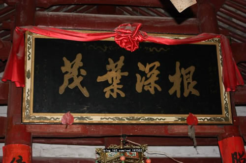 文章图片