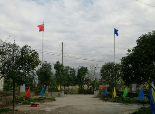 文章图片