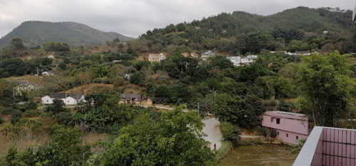 文章图片