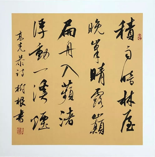 文章图片