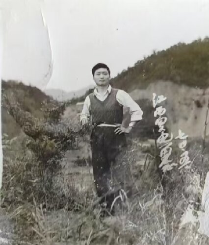 文章图片