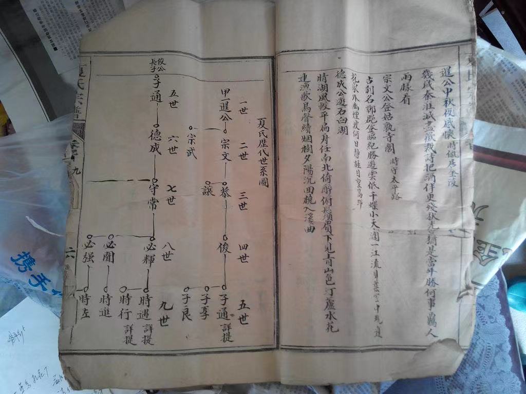 文章图片