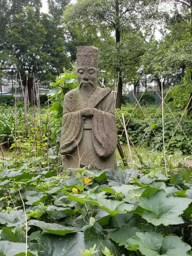 文章图片