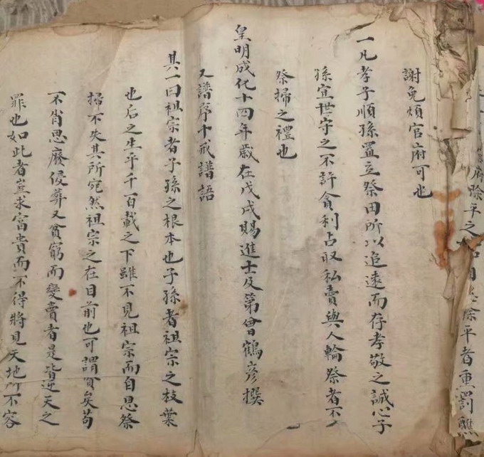 文章图片