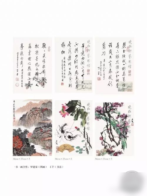 文章图片