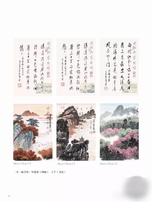 文章图片