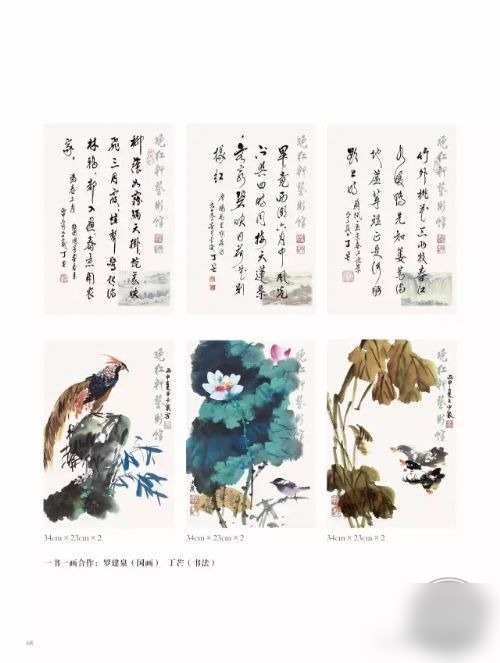 文章图片