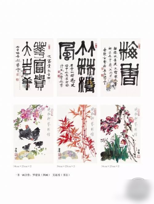 文章图片